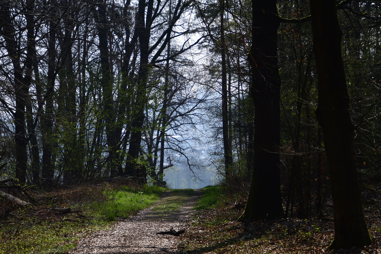 Der Donnerstag  Durchblick