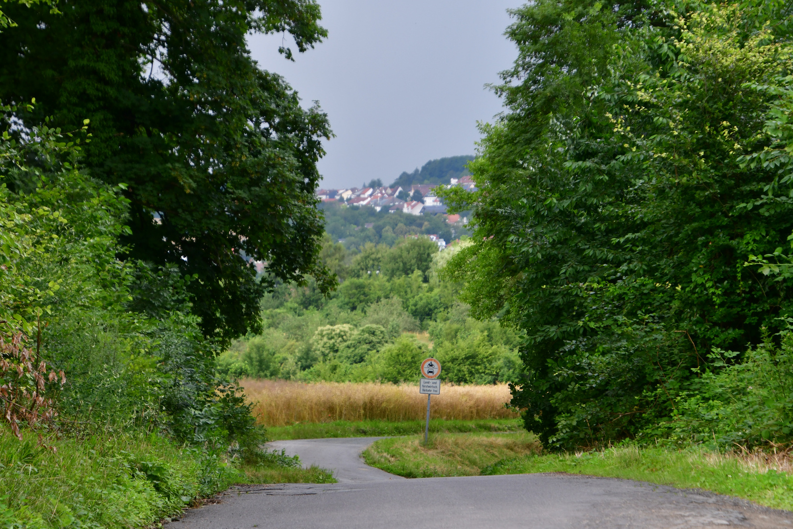 Der Donnerstag Durchblick 