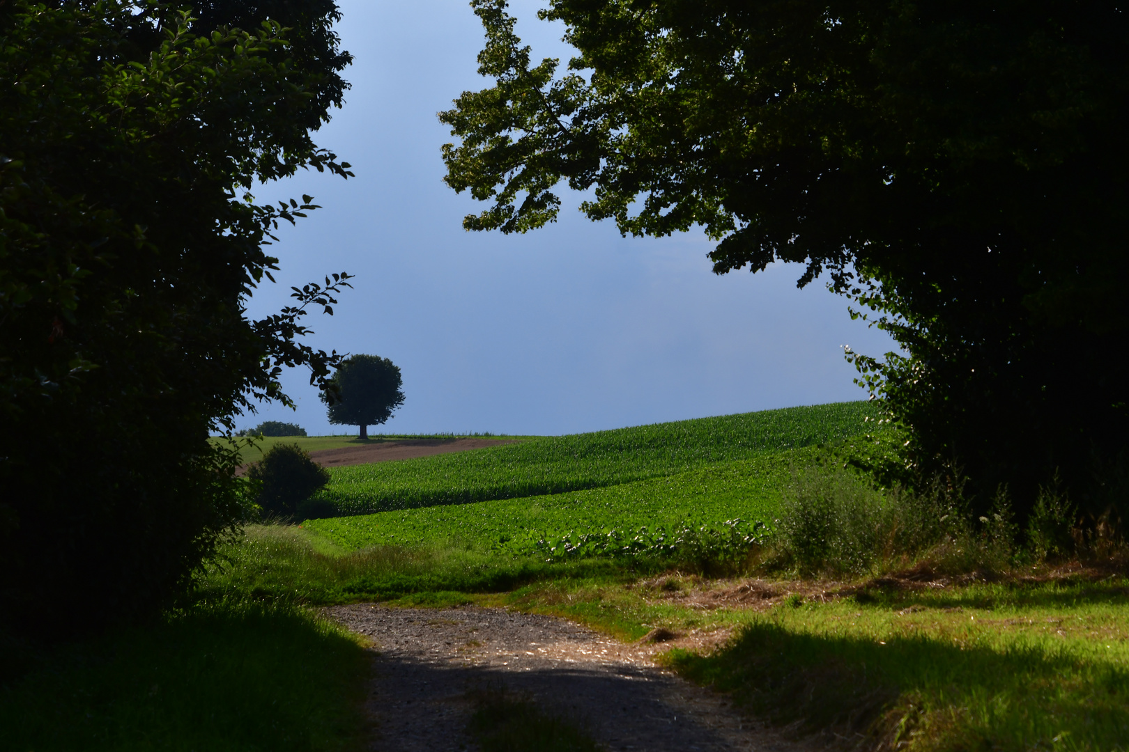 Der Donnerstags Durchblick 