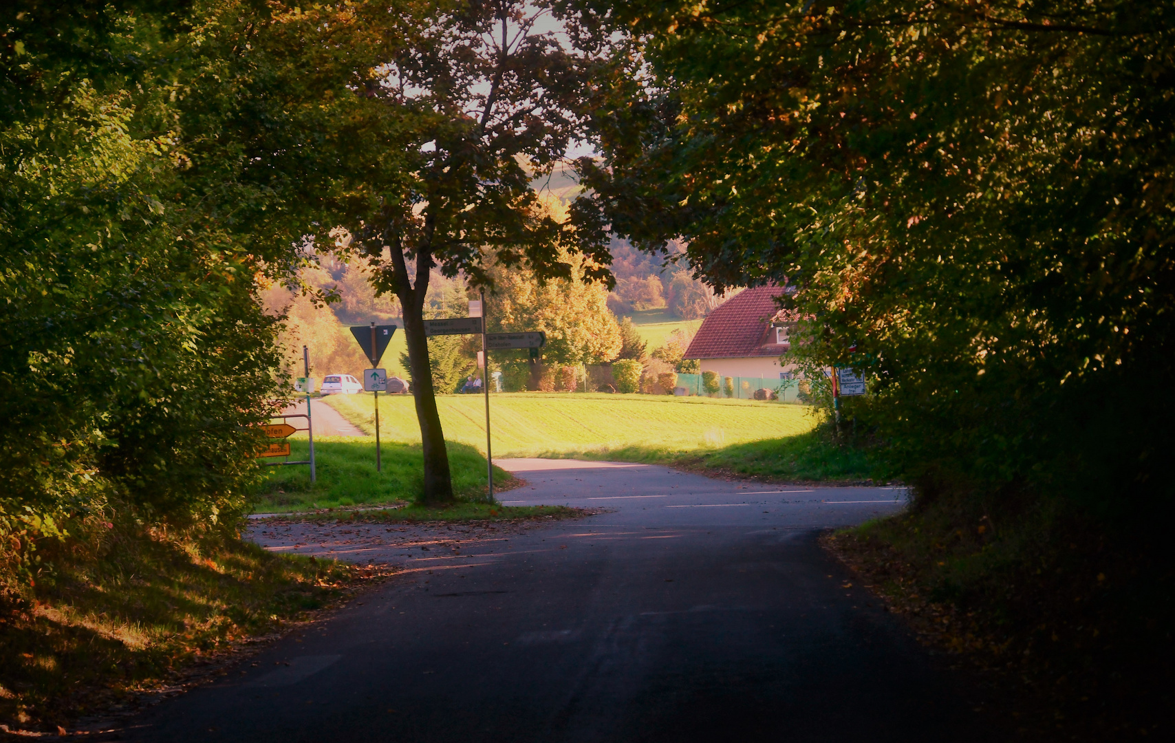 Der Donnerstagsdurchblick 