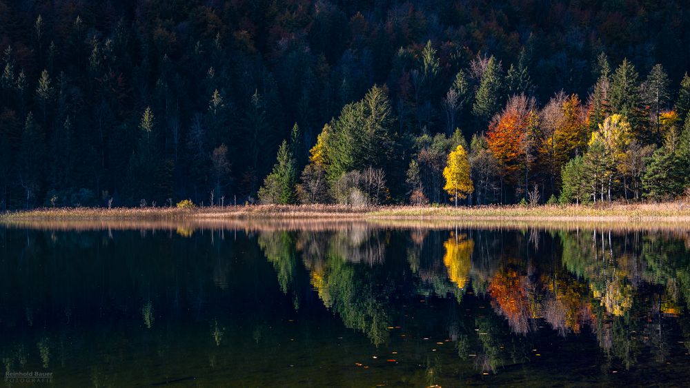 Der doppelte Herbst