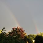 Der doppelte Regenbogen