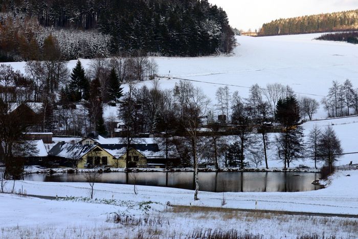 Der Dorfsee im Winter