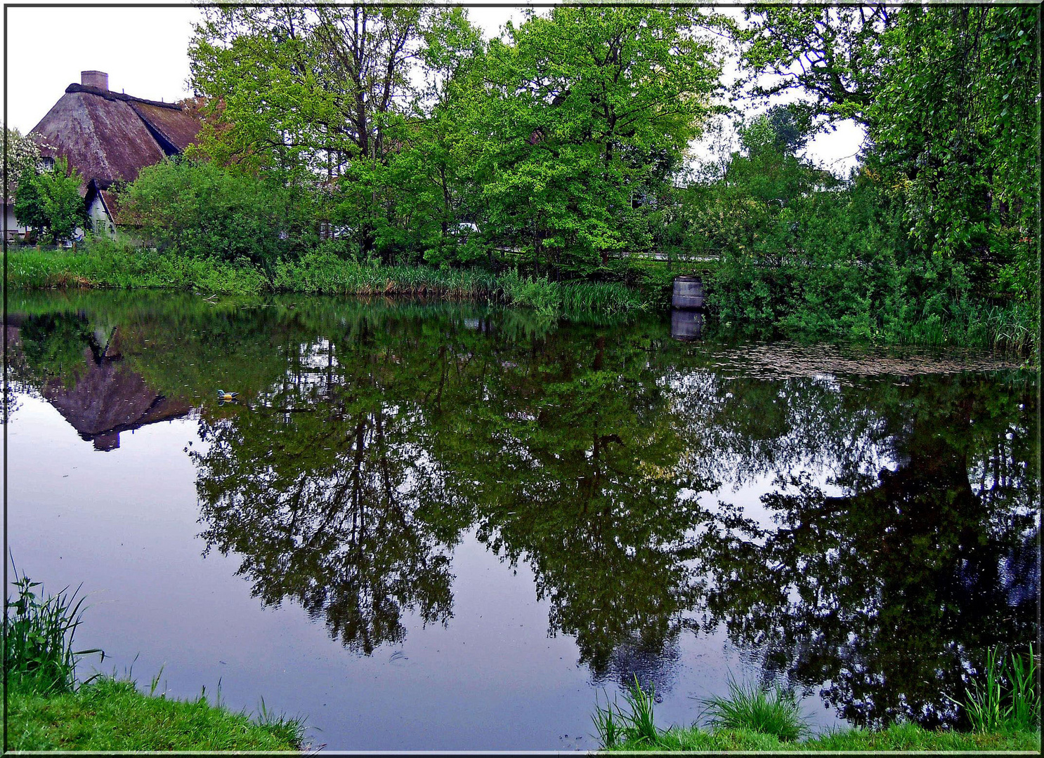 Der Dorfteich in Israelsdorf