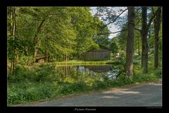 Der Dorfweiher in Göhringsreuth