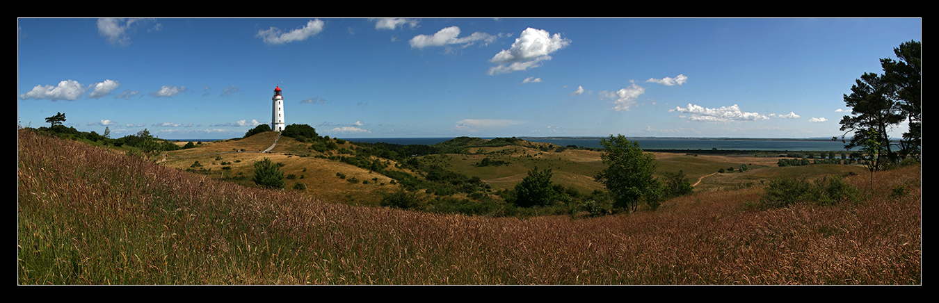 Der Dornbusch auf Hiddensee