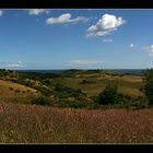 Der Dornbusch auf Hiddensee