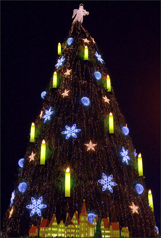 Der Dortmunder Weihnachtsbaum ...