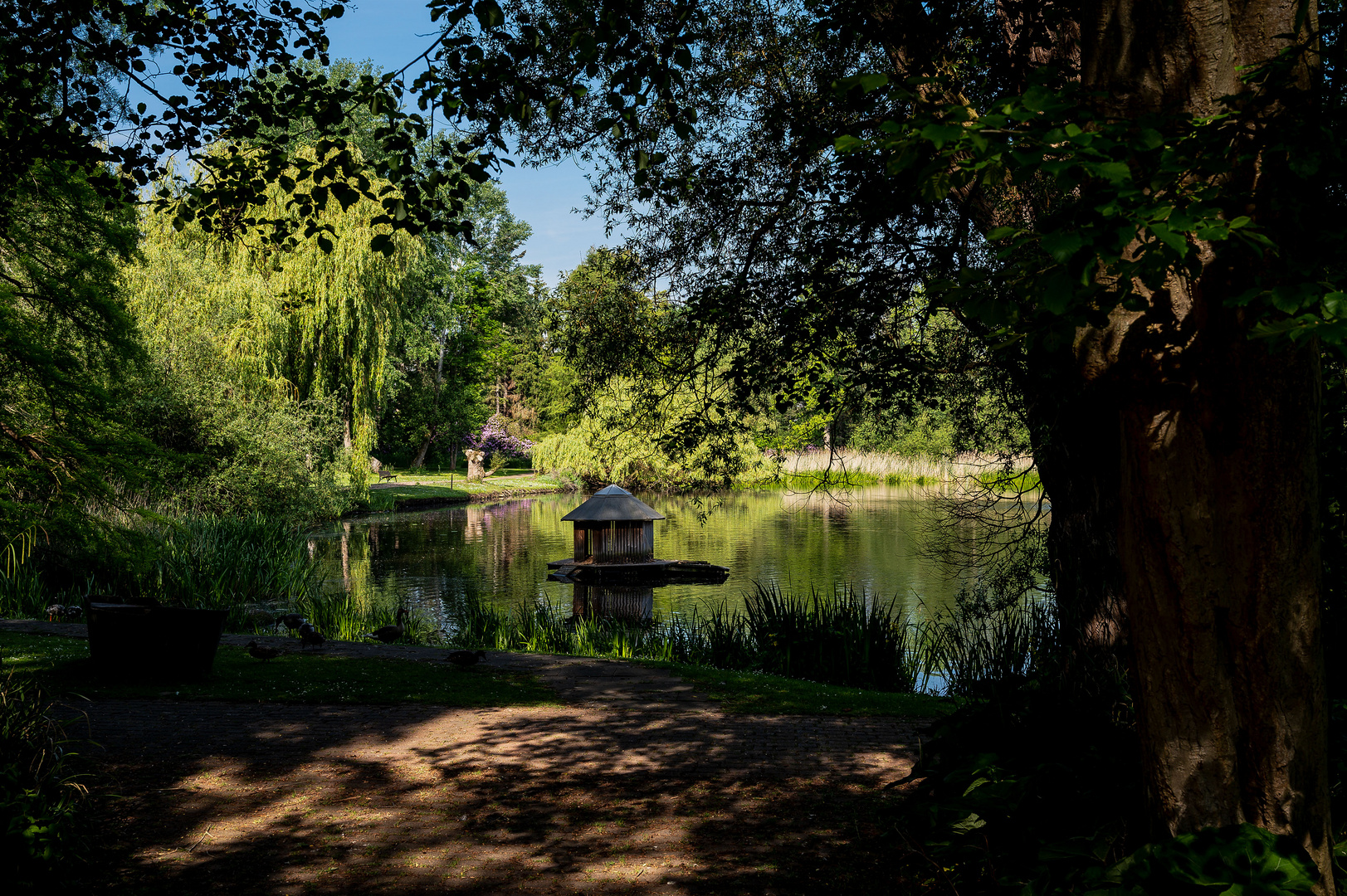 Der Dowesee in Braunschweig_2