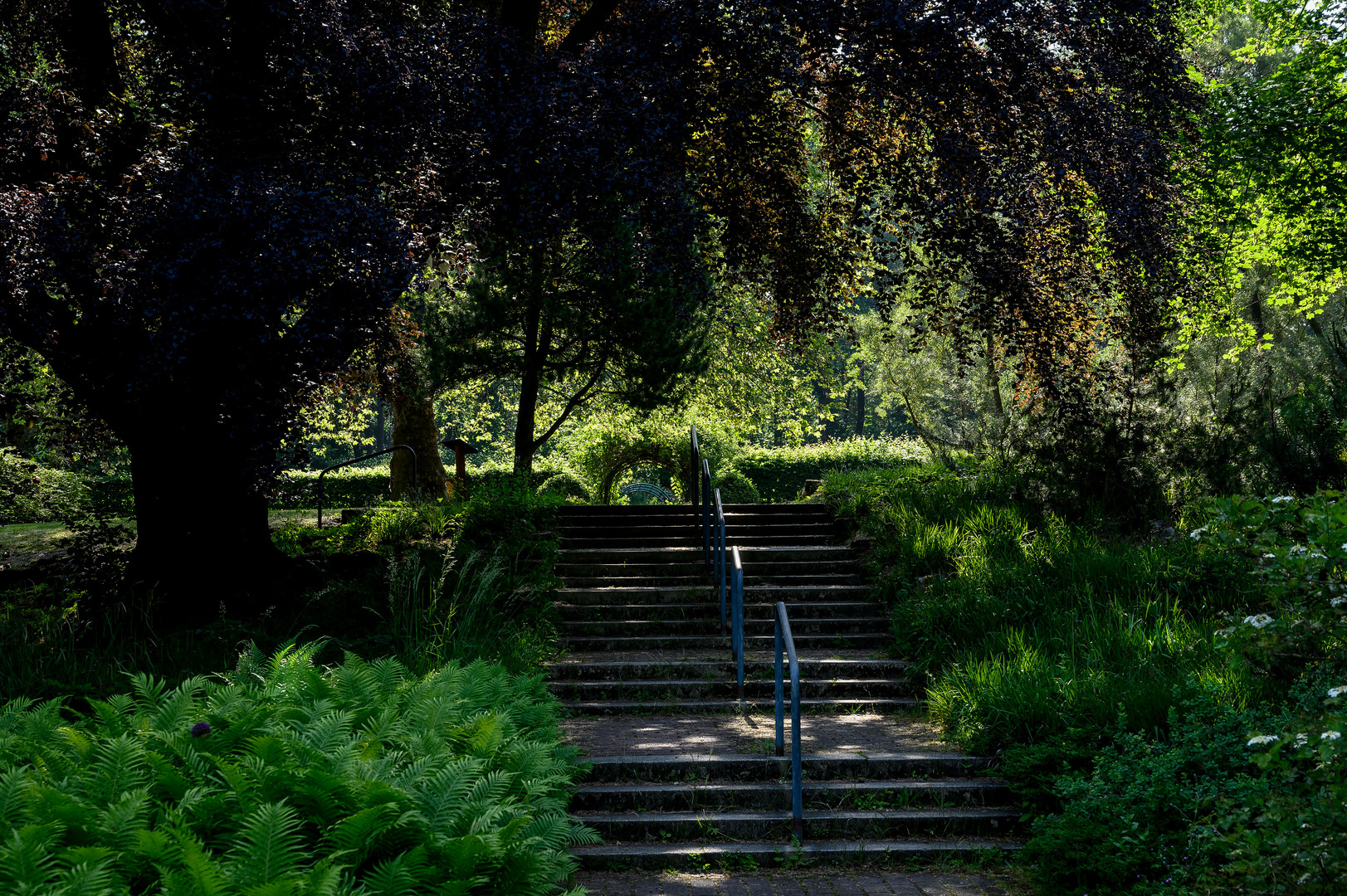 Der Dowesee in Braunschweig_5