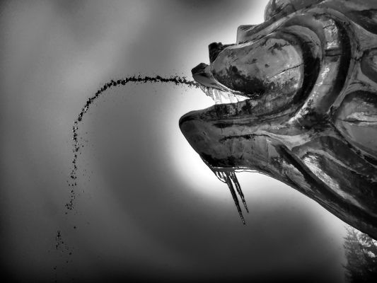 Der Drache der Millstätter Alpe