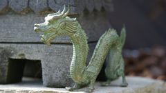 Der Drache im Garten