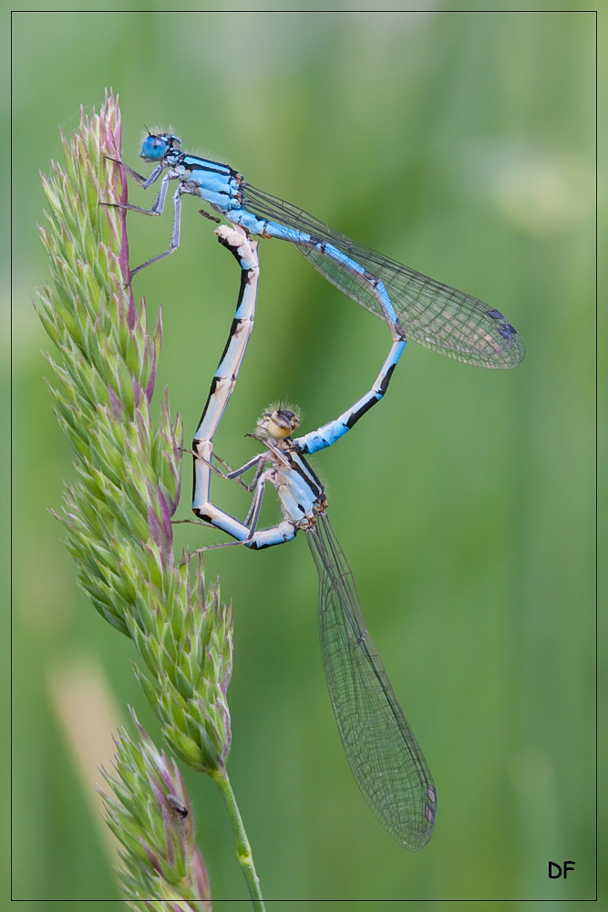 Der Drang der Natur... :-)