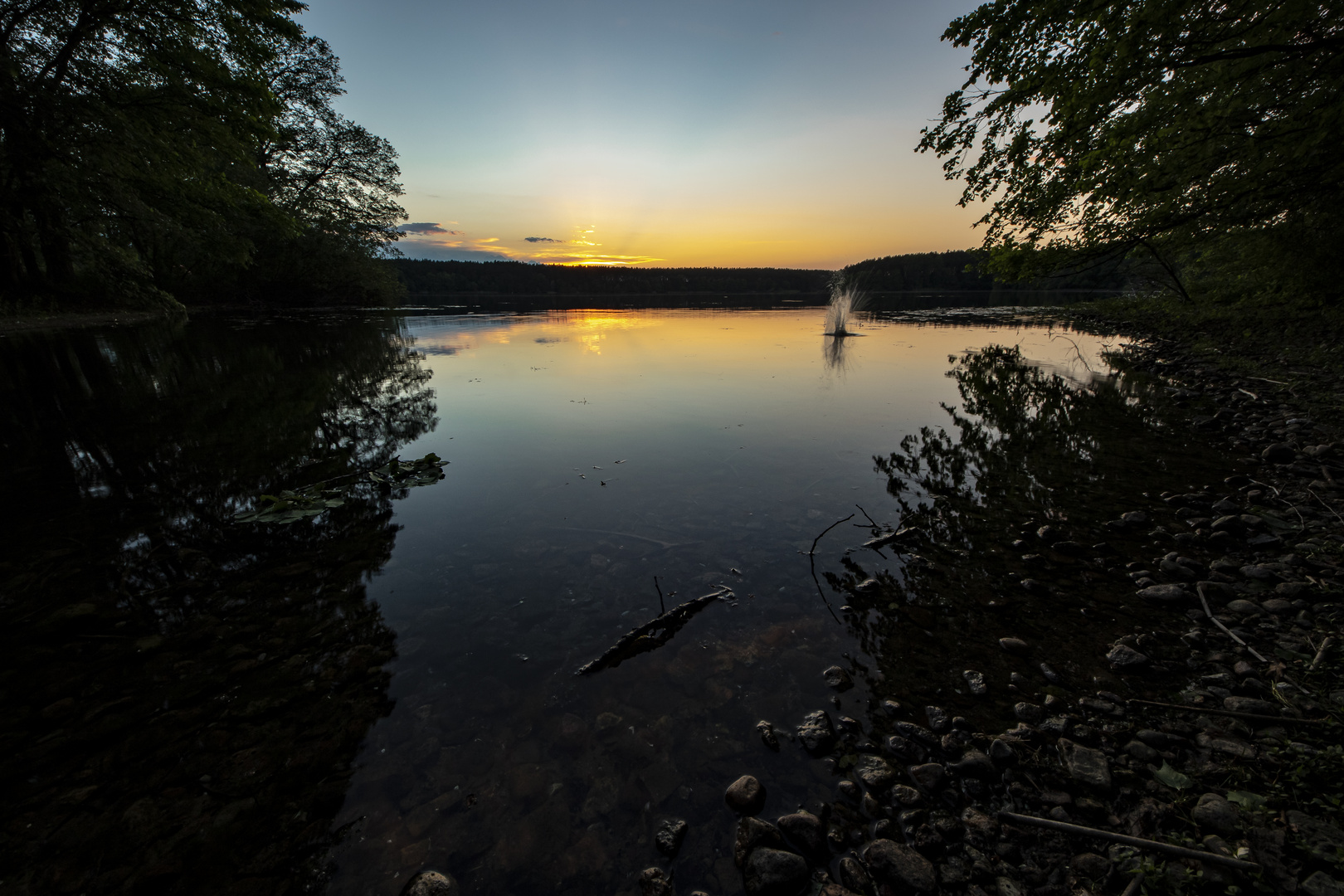 Der Dreetzsee