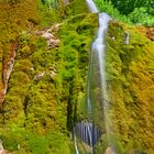 Der Dreimühlen Wasserfall in der Eifel