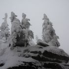 der dreisessel-gipfel im bayerischen wald