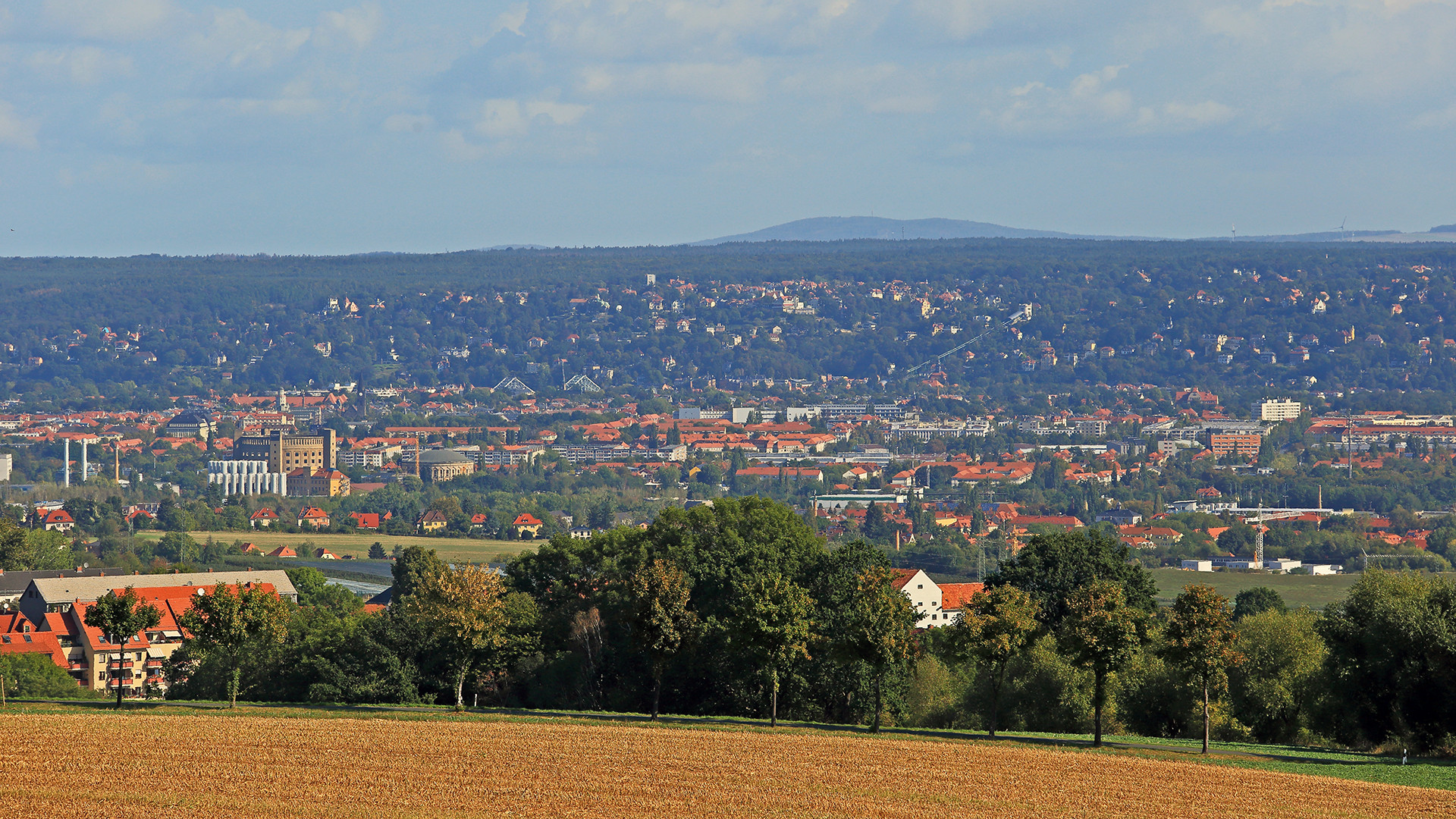 Der Dresdner Osten hat mit den herrlichen Elbhängen das weitaus schönere Hinterland,