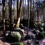 Der Druidenhain - Fränkische Schweiz