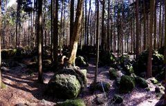 Der Druidenhain - Fränkische Schweiz