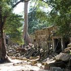 Der Dschungel gewinnt (Ta Prohm in Kambodscha)