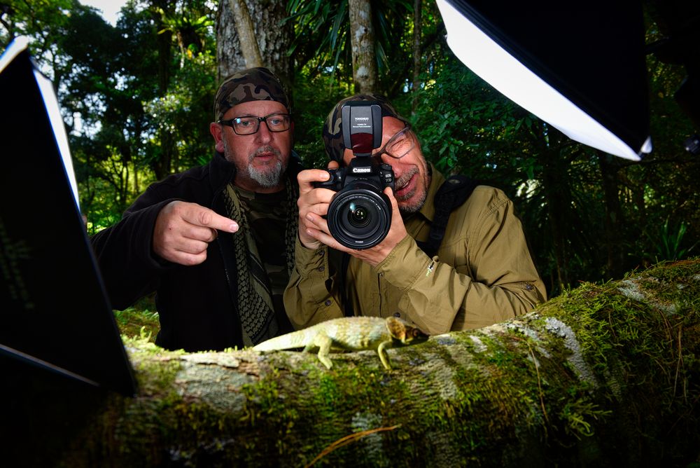 DER DSCHUNGEL IST MEIN FOTOSTUDIO