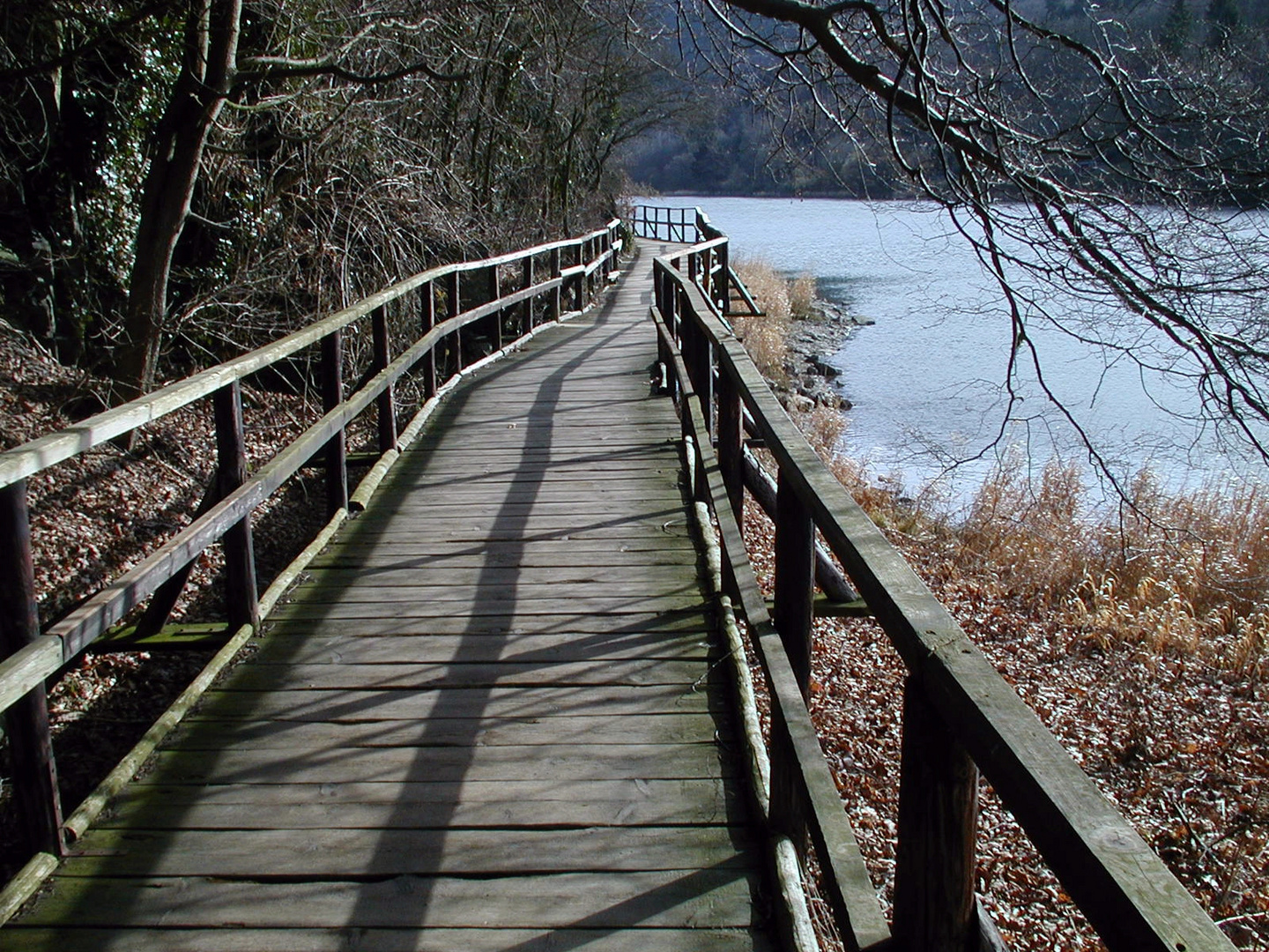 Der "Dschungelweg" bei Heimbach/Eifel