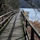 Der "Dschungelweg" bei Heimbach/Eifel