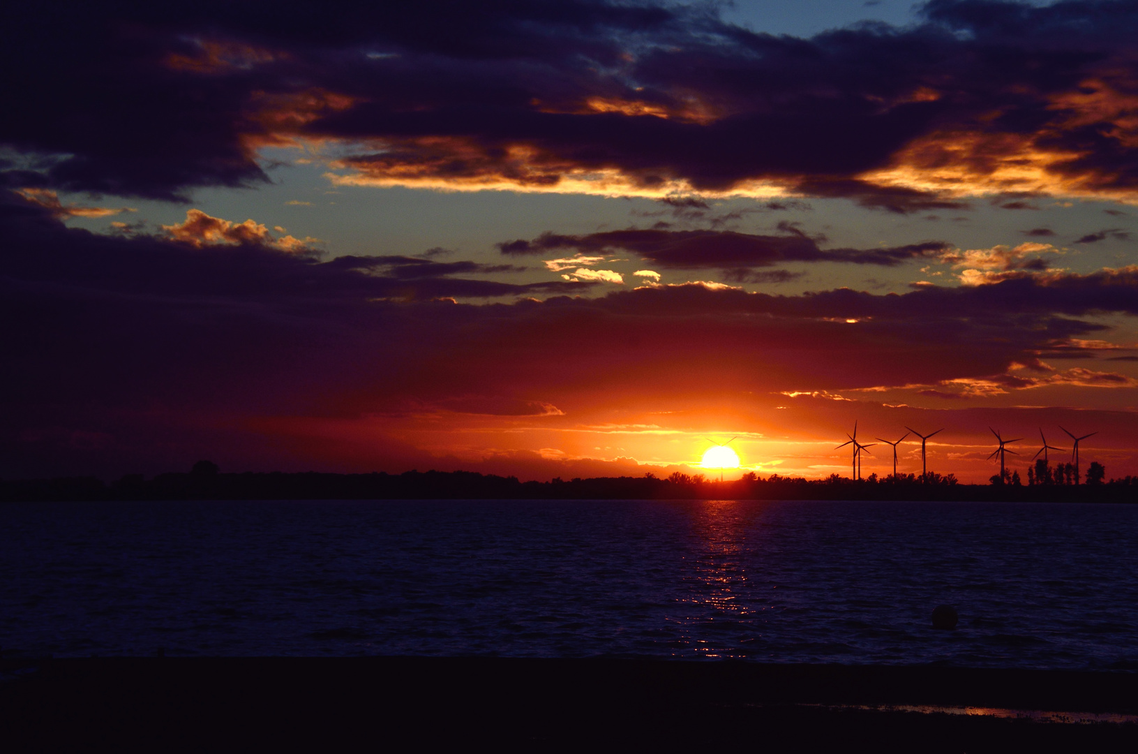 Der Dümmer brennt Foto & Bild | landschaft, bach, fluss & see, natur