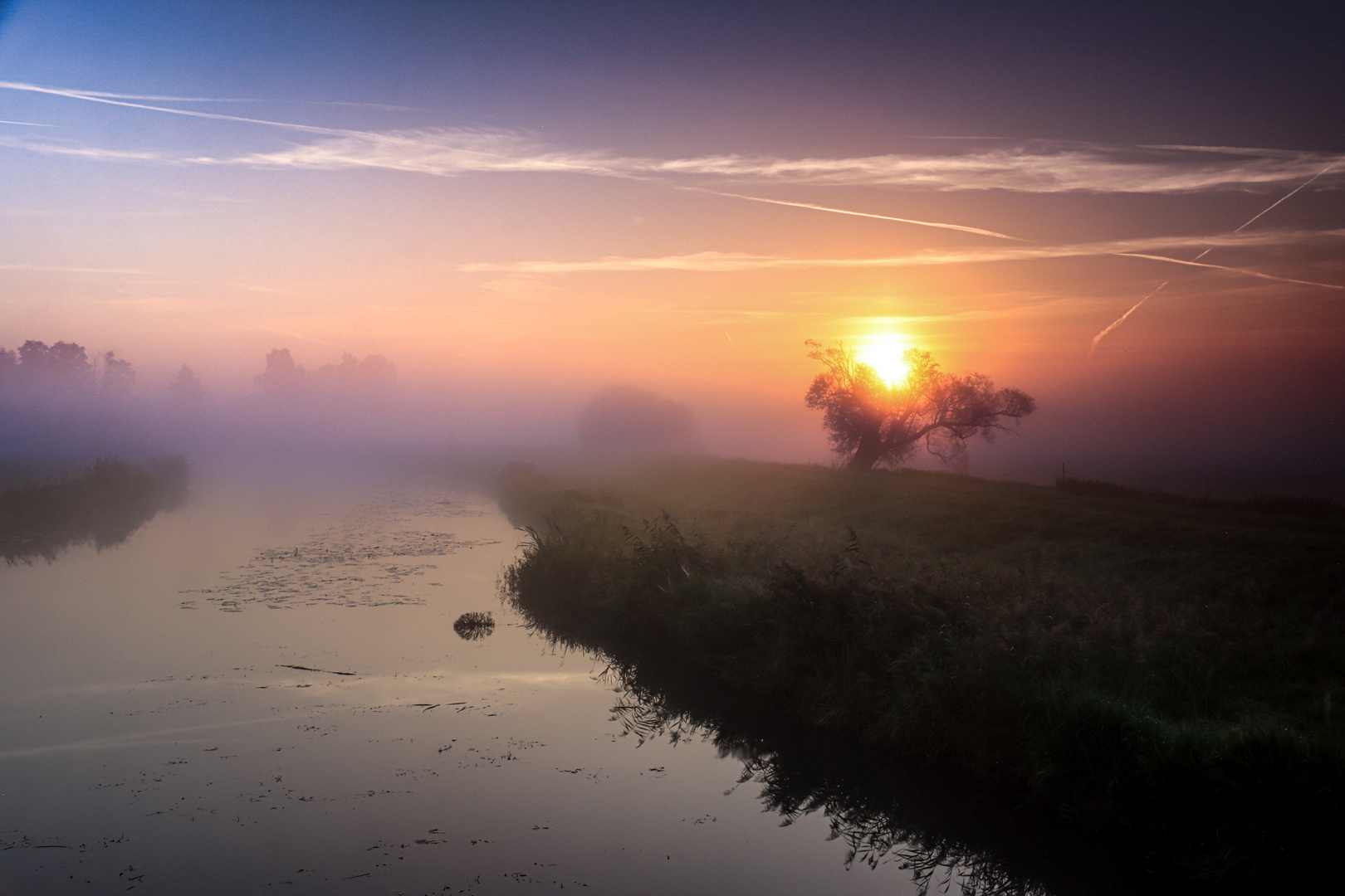 Der Dümmer im Nebel