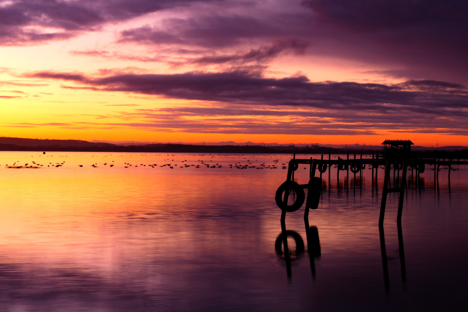 Der Dümmersee am ersten Weihnachtsfeiertag 