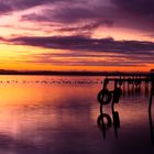 Der Dümmersee am ersten Weihnachtsfeiertag 