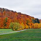 Der Dün bei Heiligenstadt in herbstlichen Farben