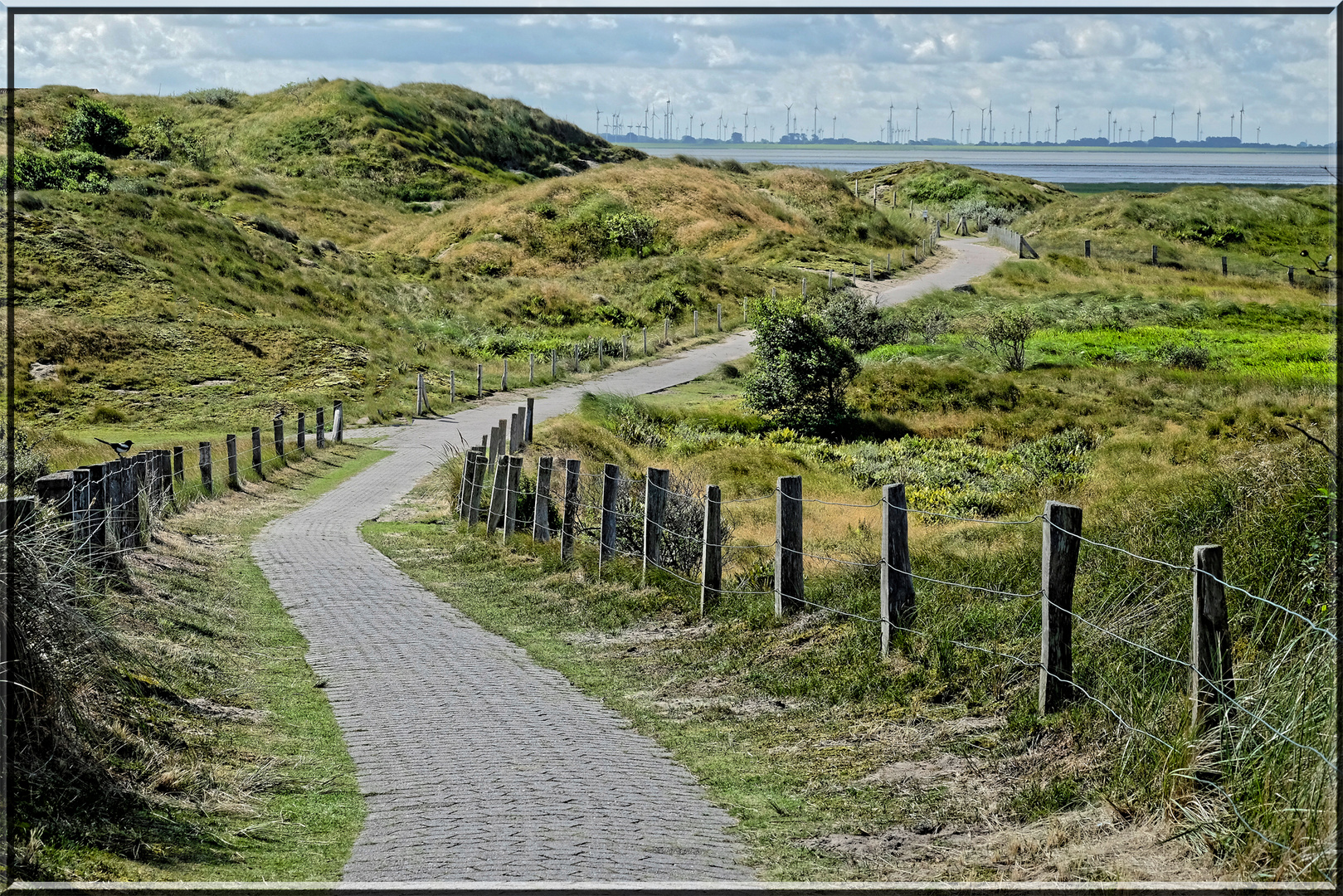 der Dünen-Wanderweg ist das Ziel...