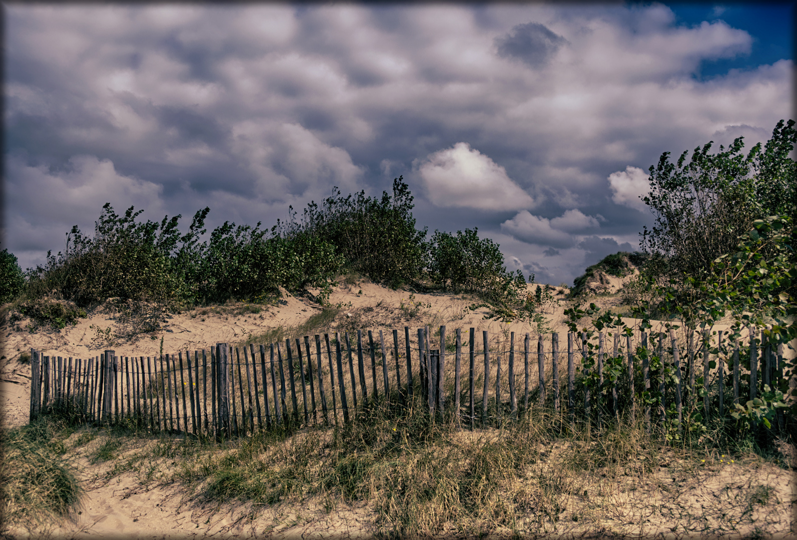 Der Dünenzaun - La clôture des dunes