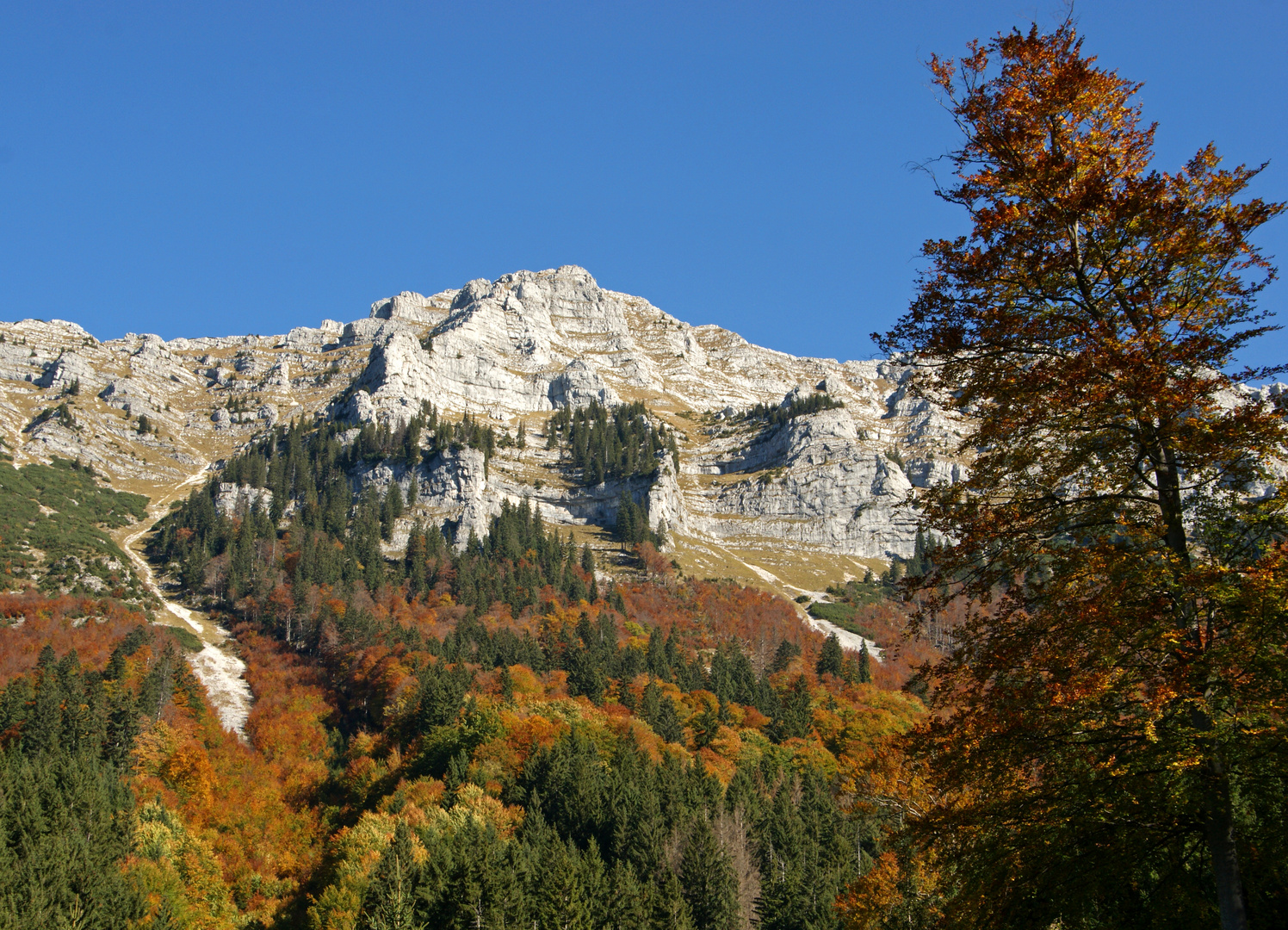 der Dürrenstein