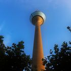 Der Düsseldorfer Rheinturm