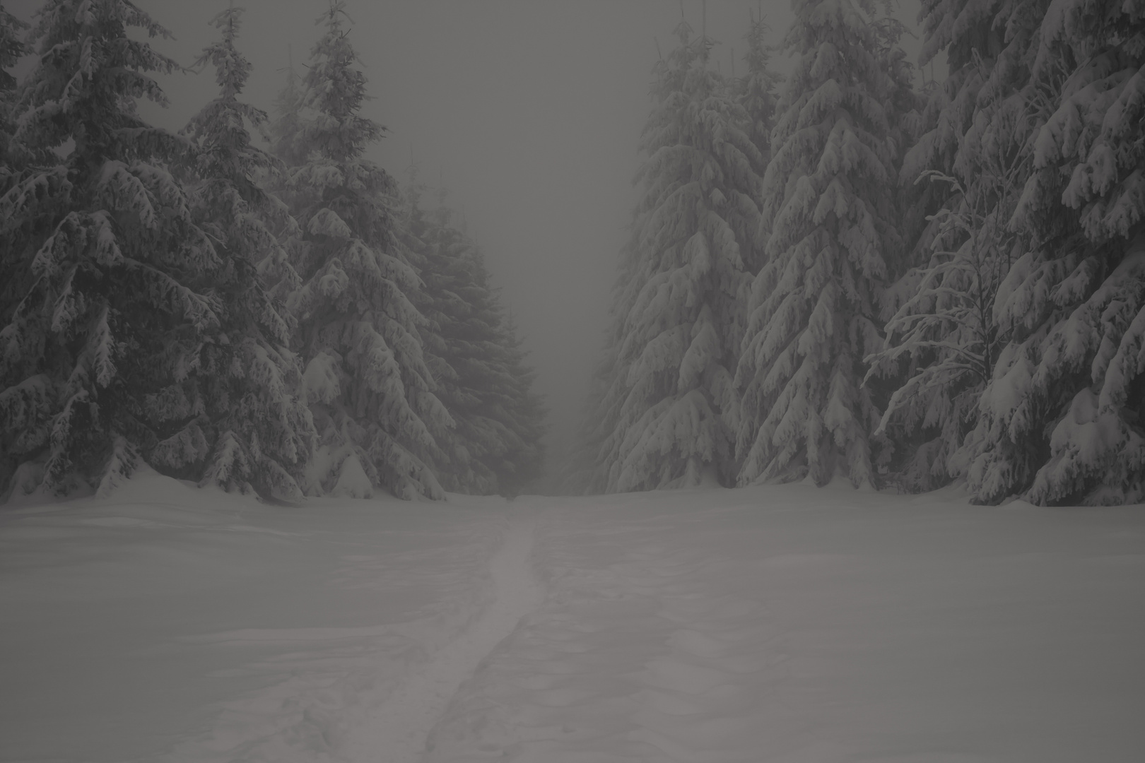 Der düstere Harz