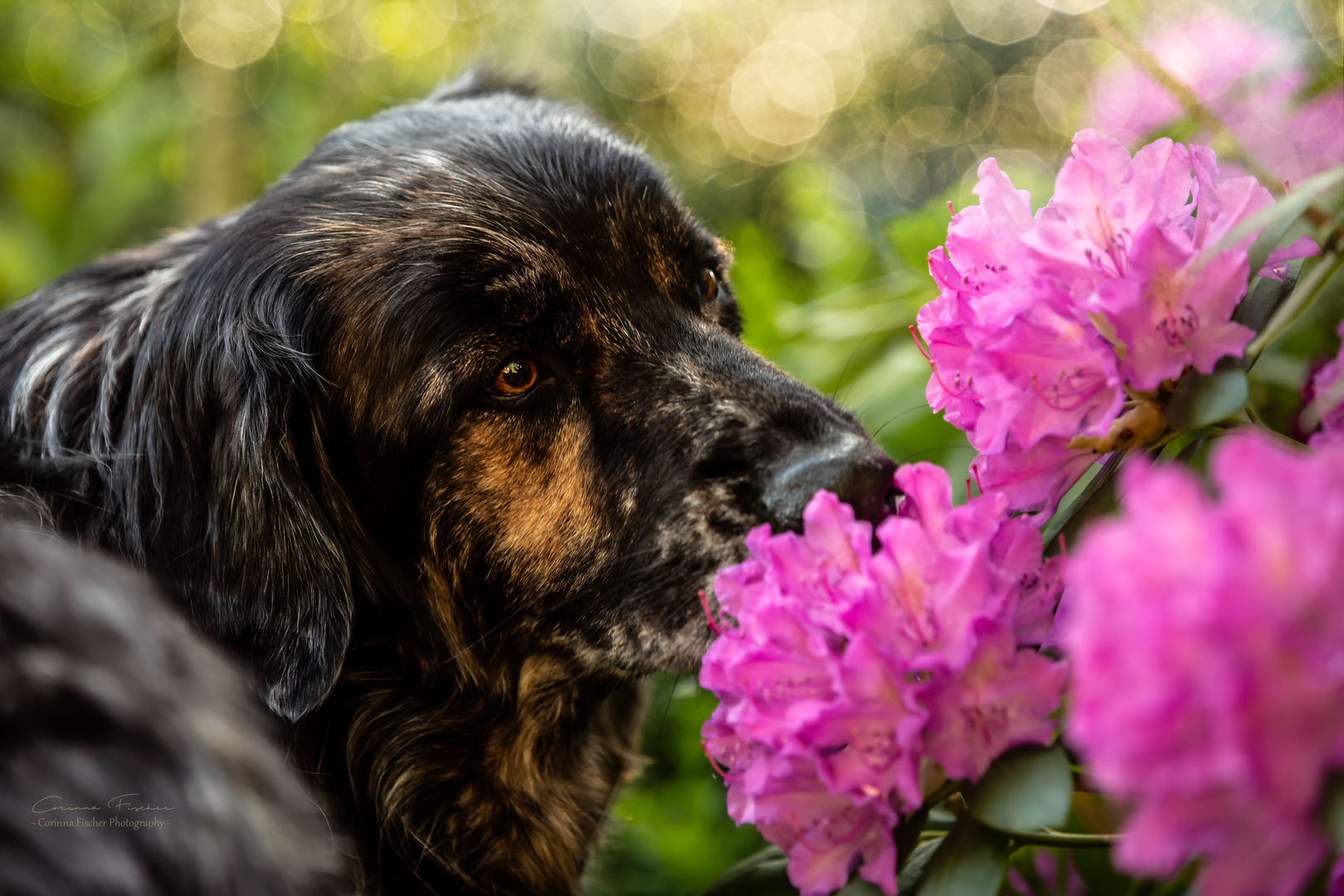 * Der Duft der Blumen *