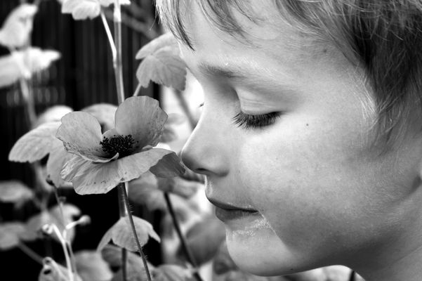 Der Duft der Freiheit