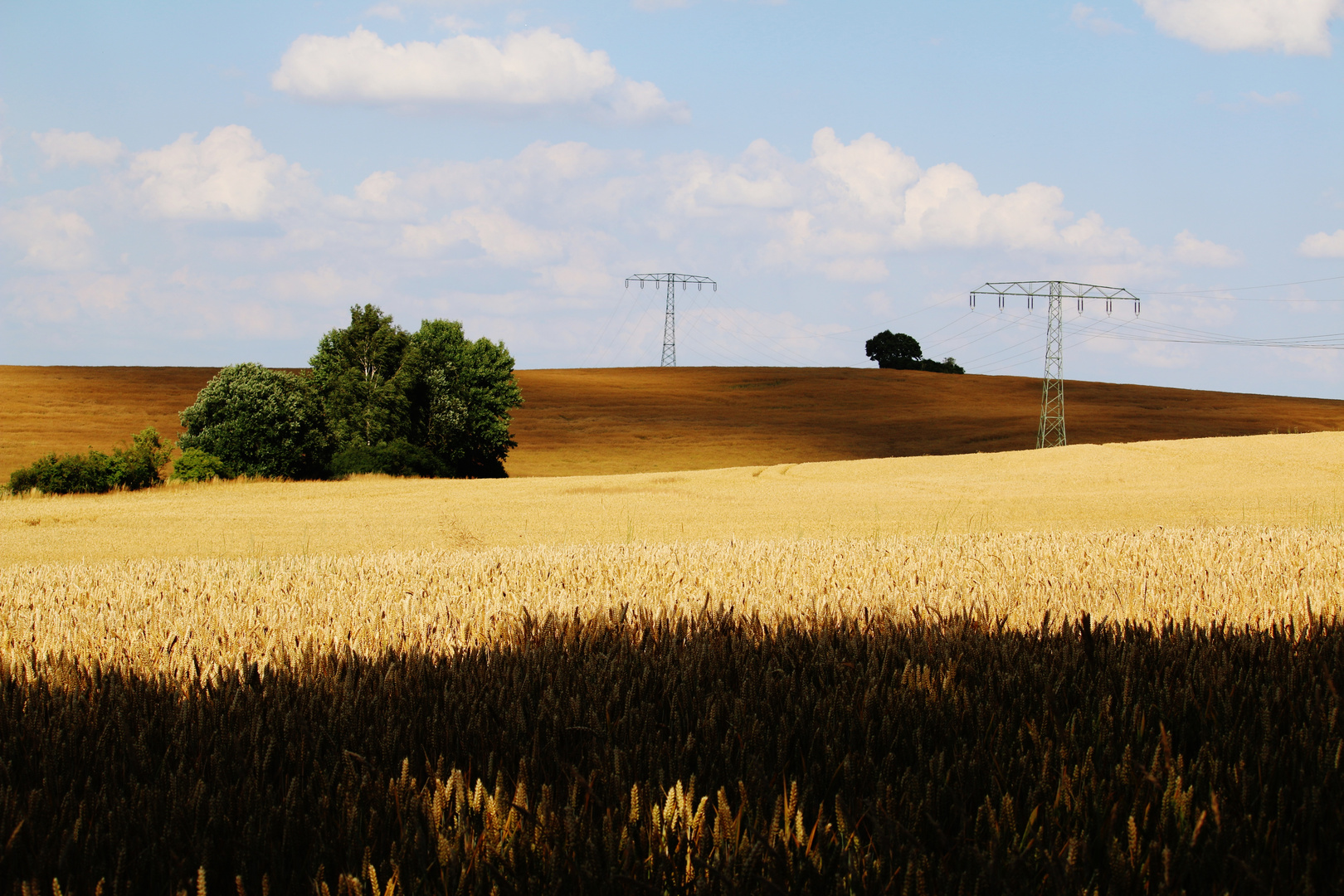 Der DUFT des SOMMERS/ 2