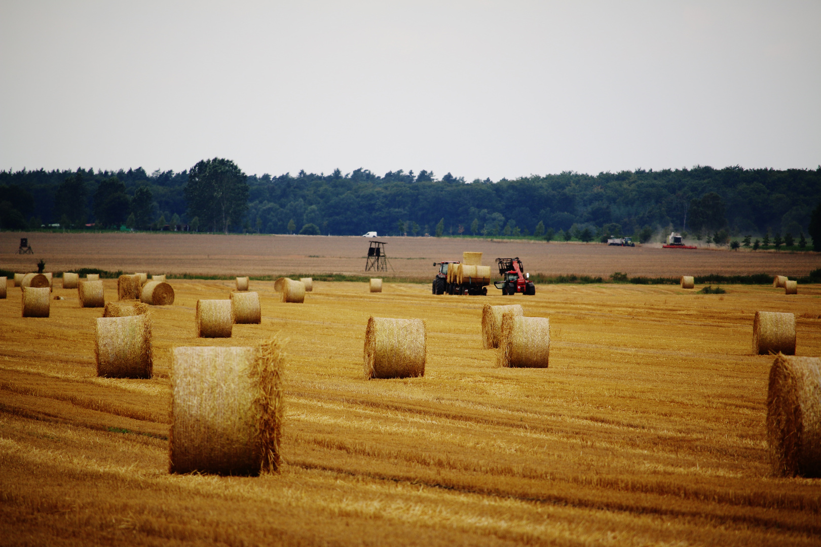 Der DUFT des SOMMERS/ 3