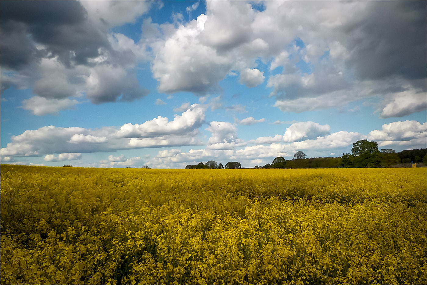 Der Duft nach Frühling