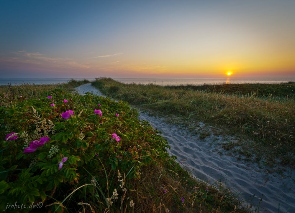 Der duftende Weg zum Meer ...