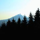 "  Der dunkle, dunkle Wald um die Nürburg.  "