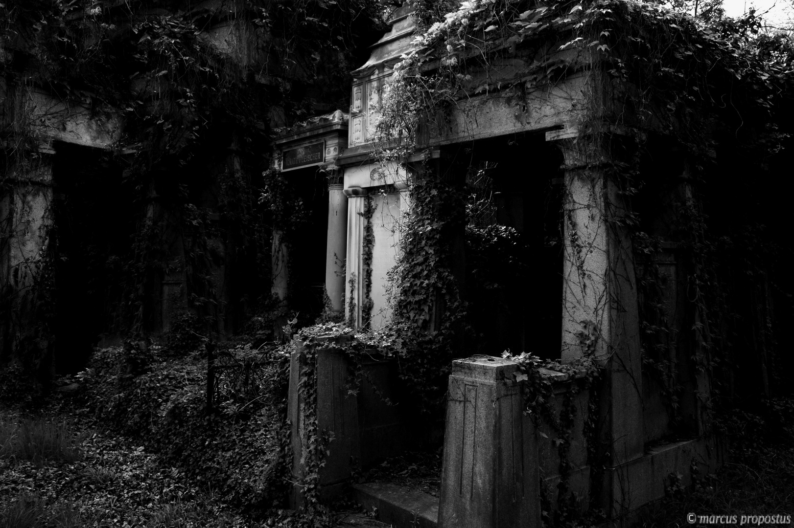 Der dunkle Garten… Foto & Bild architektur, friedhöfe