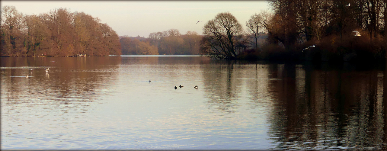 Der dunkle Herbst