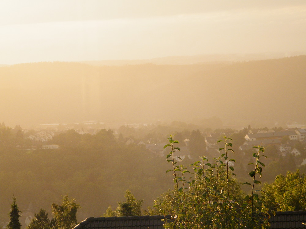 Der dunst im Morgengrauen