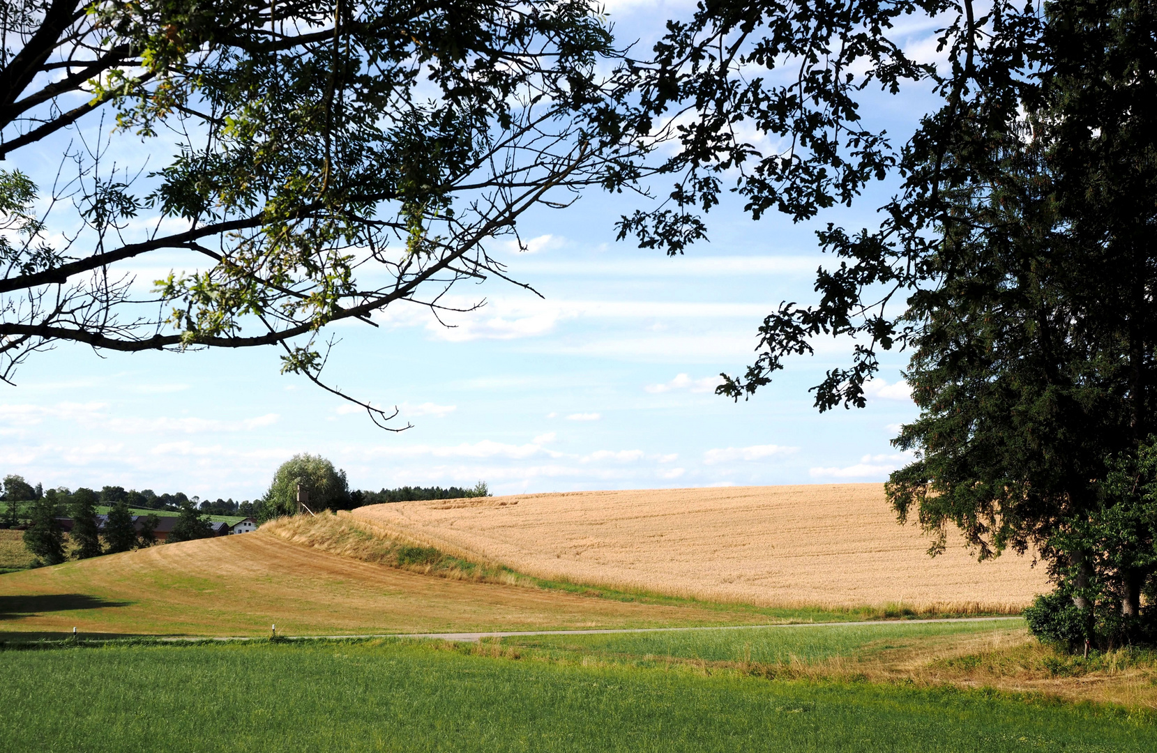 Der Durchblick