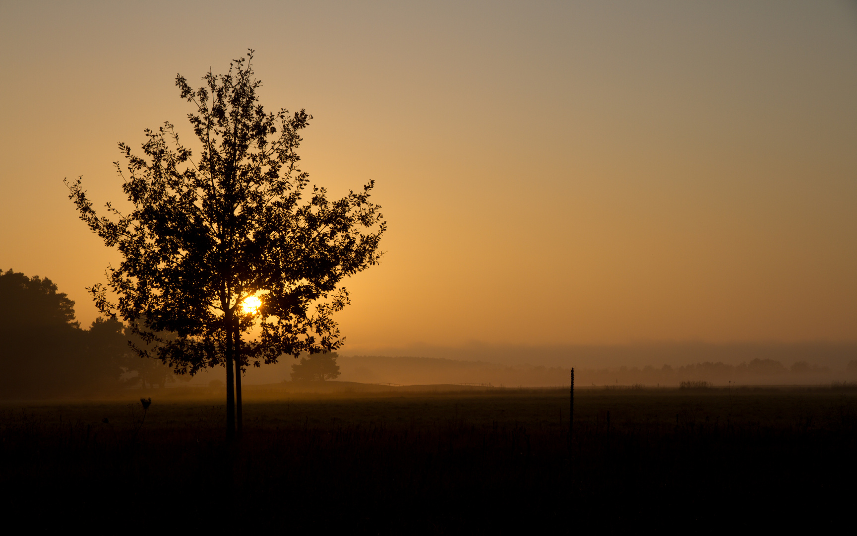 Der Durchblick