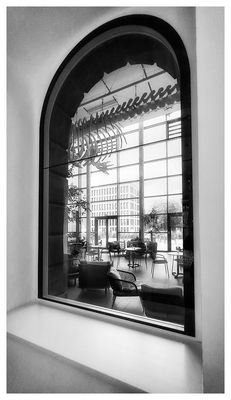 Der Durchblick im Wissensmuseum Göttingen